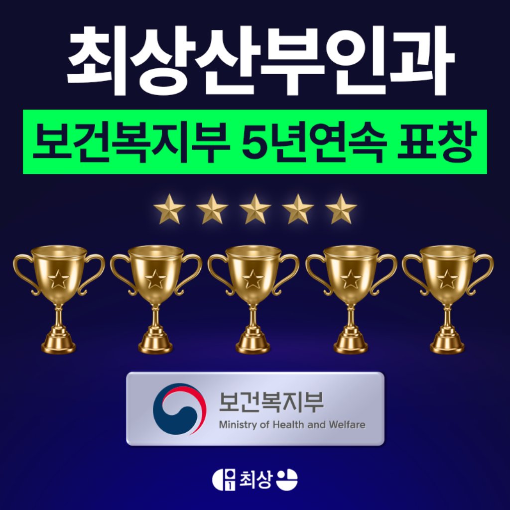 난소낭종 원인을 설명하는 난소 구조 이미지
